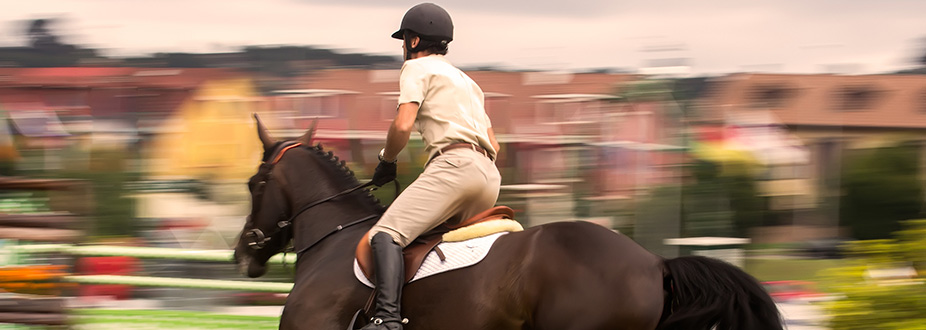 Cannes jumping international horseman with his horse