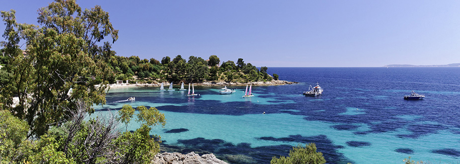 coastal picture with boats