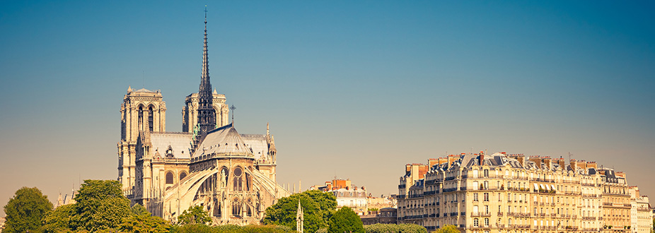 Paris Notre Dame Cathedral